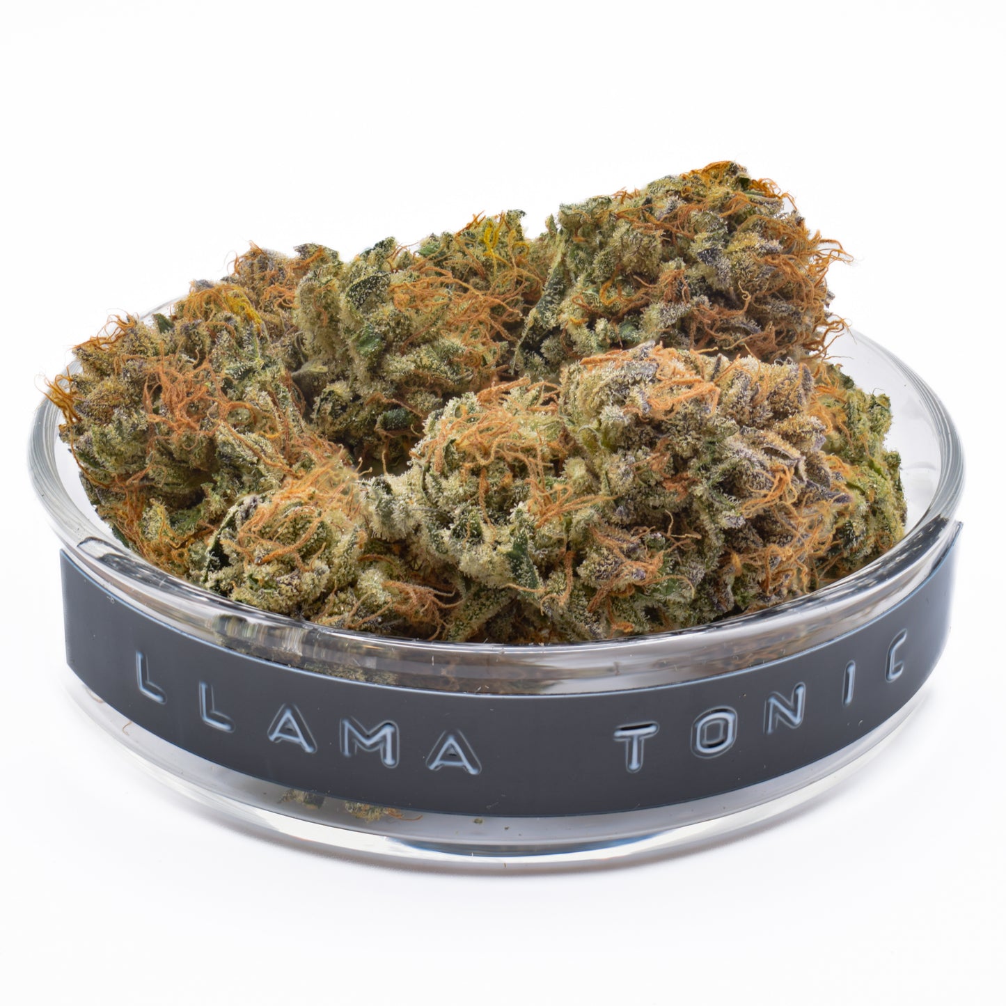 Llama Tonic