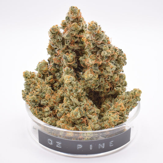 OZ Pine image 1