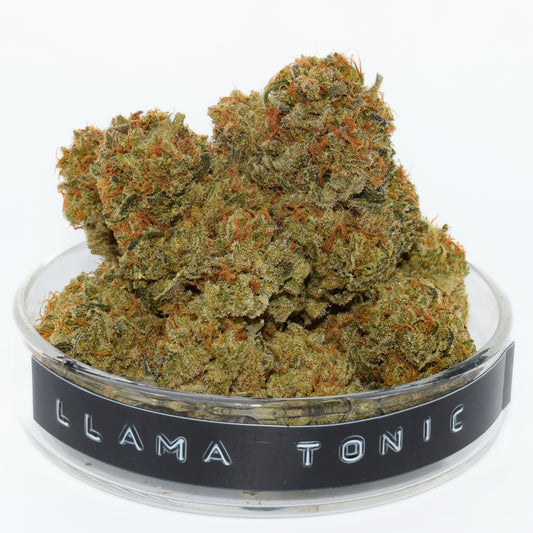 Llama Tonic