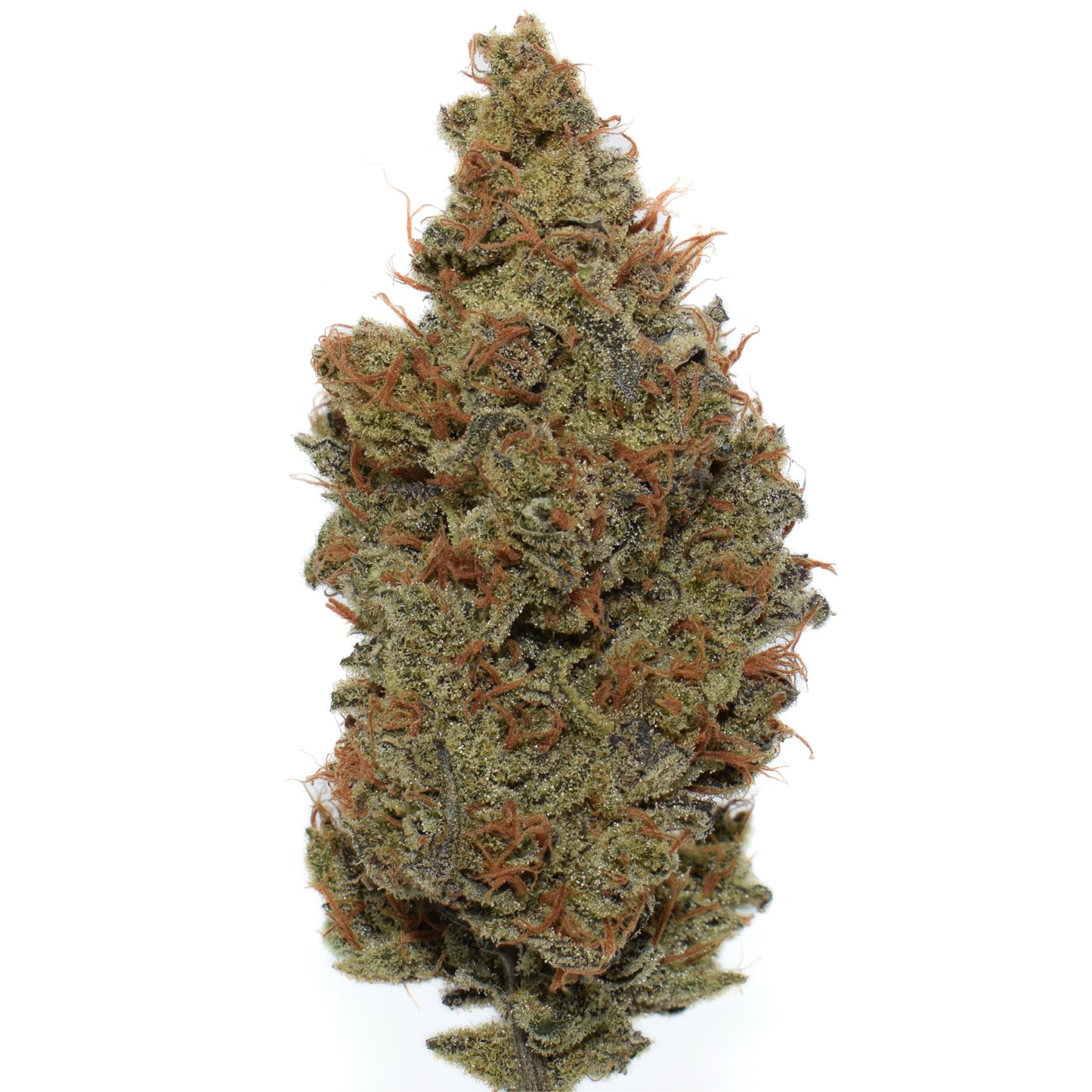 Mystery OZ