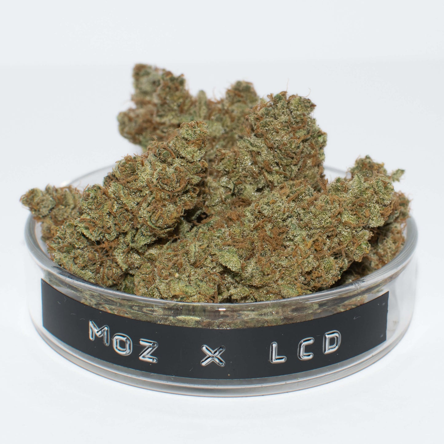 MOZ x LCD