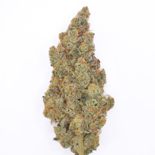 OZ Pine image 0