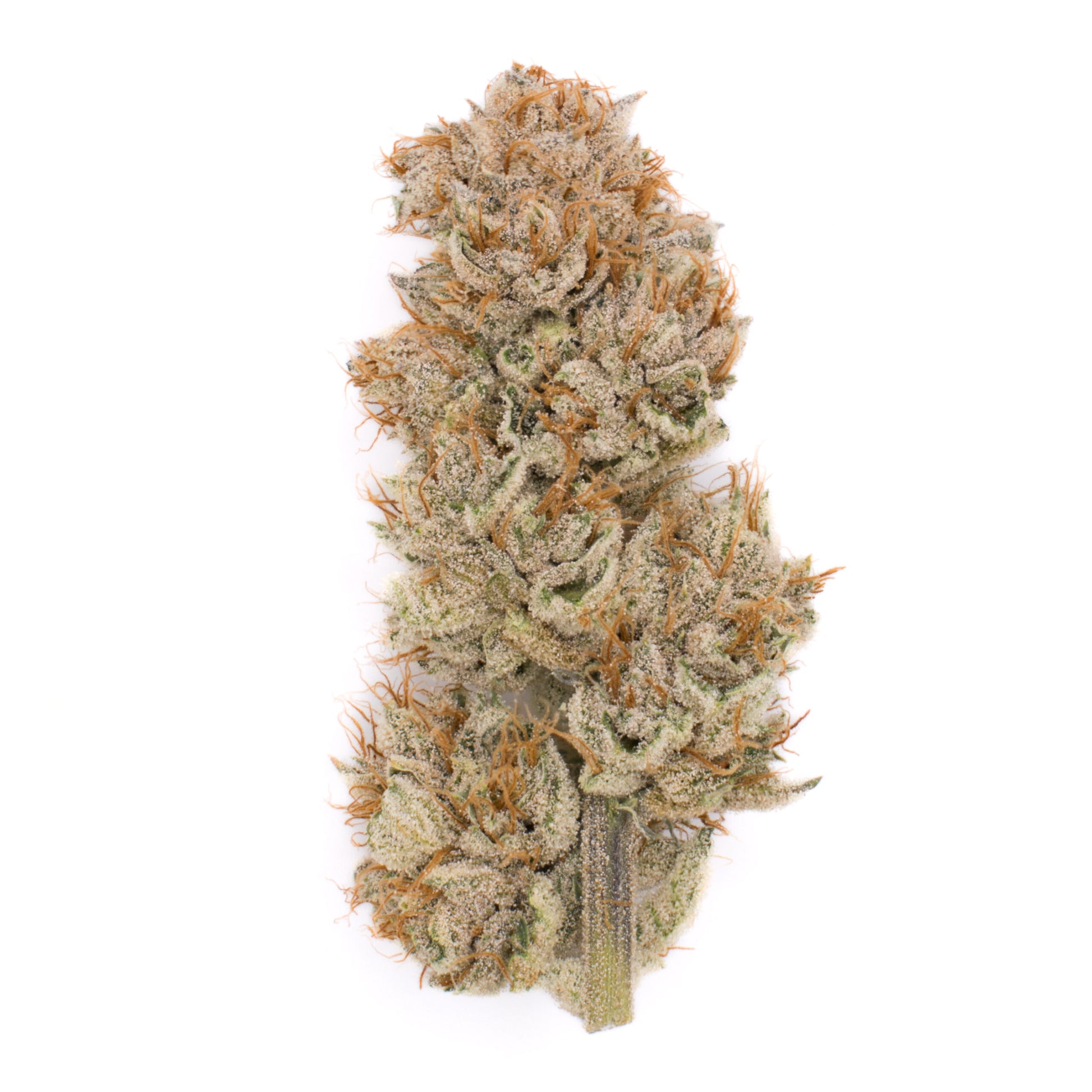Lemon CBG image 0