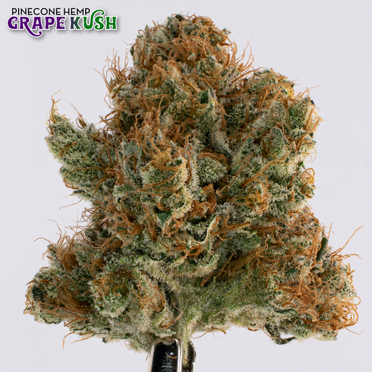 Grape Kush image 1