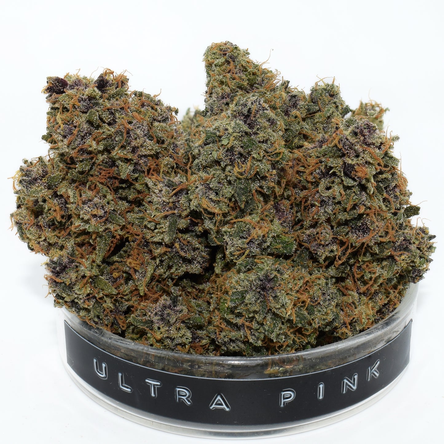Ultra Pink
