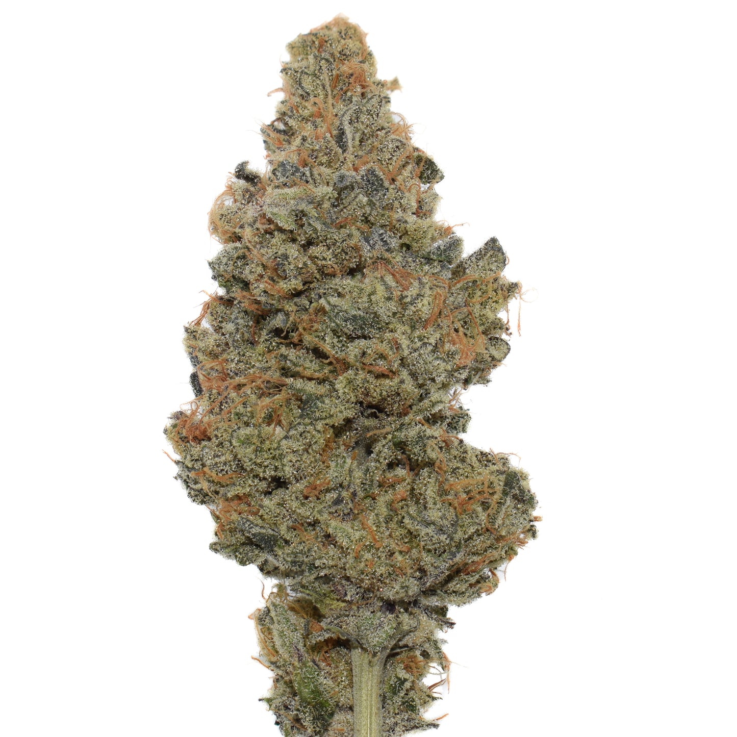Death Eater Kush