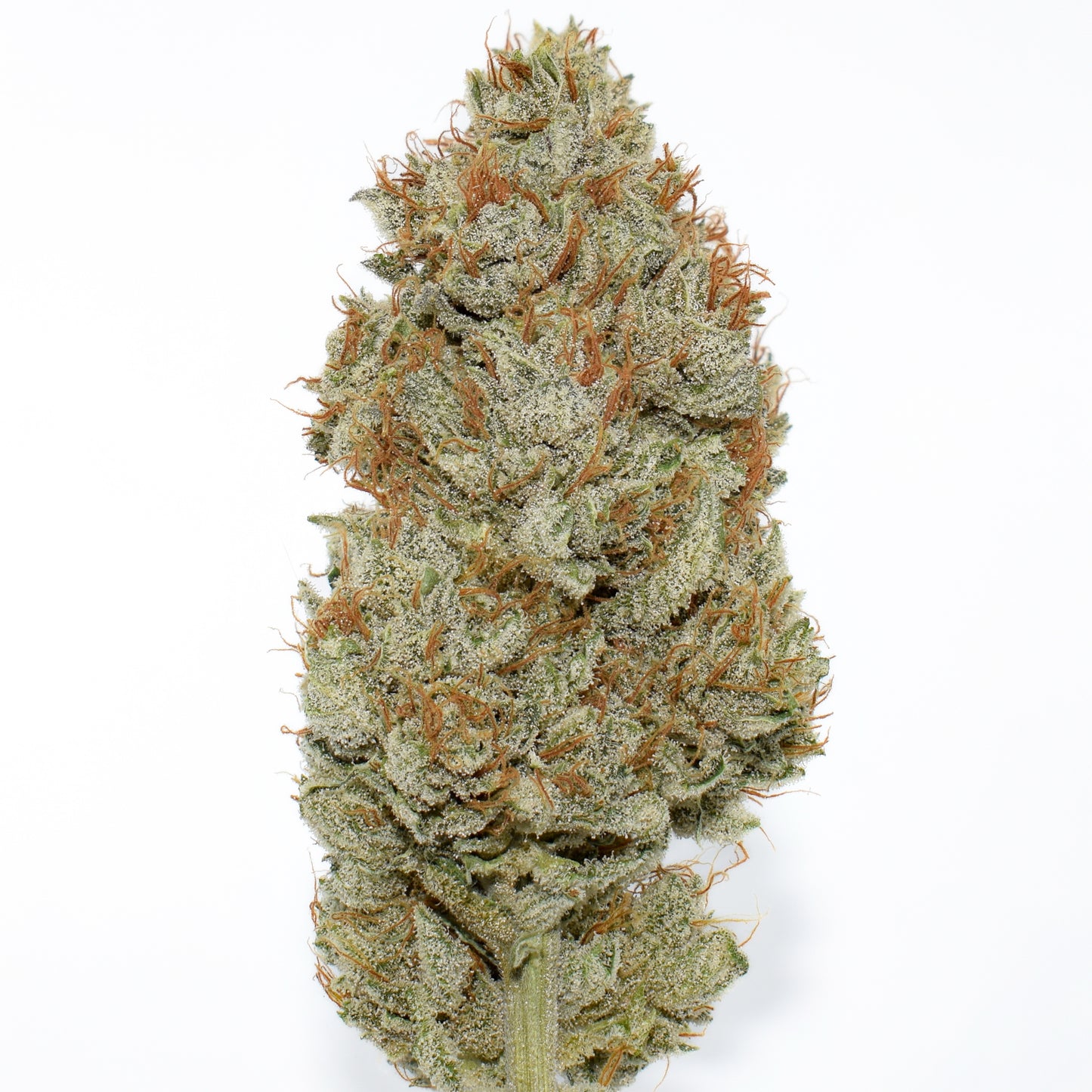 Lemon CBG
