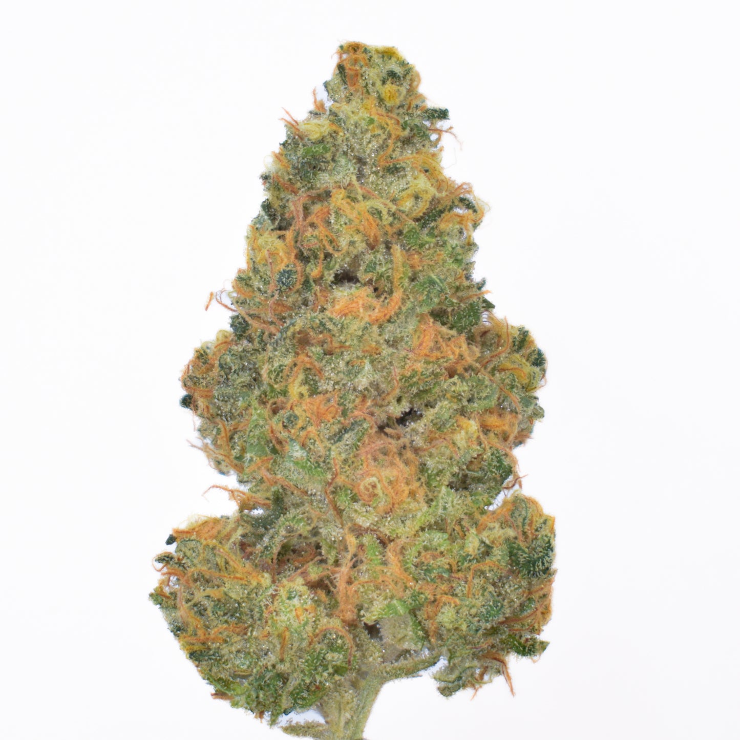 Lemon Cookie Dough