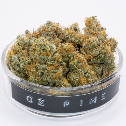 OZ Pine